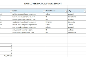 do excel data entry and spreadsheet formatting