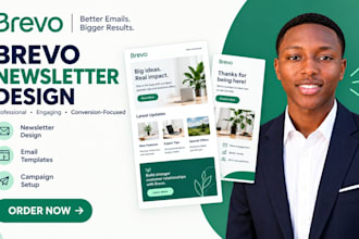 design a professional brevo email template or newsletter