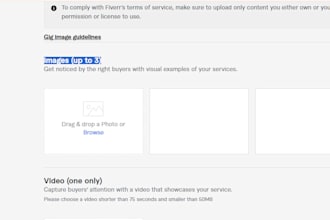 do web scrapping, web automation