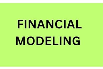 do financial modeling, financial consultation
