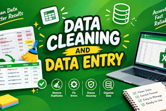 do accurate data entry data cleaning  and excel data entry work