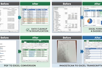 clean up format and organize your excel data