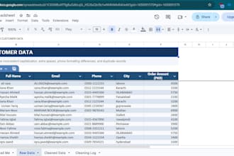 do accurate data entry and google sheets data cleaning
