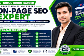 do professional on page SEO optimization for wordpress websites