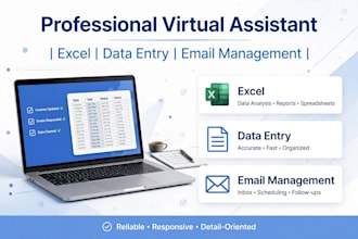 be your reliable virtual assistant for data entry, email management and web rese