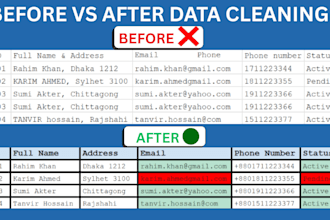 do excel data cleaning and data formatting