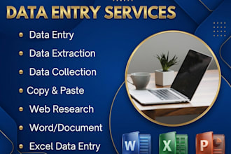 be your data entry expert, data analyst and web researcher