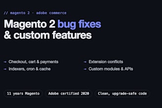fix bugs and develop custom features for your magento 2 store