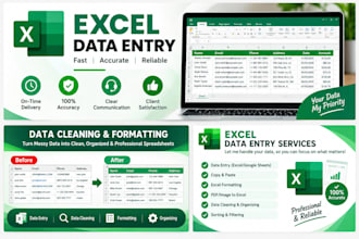 do excel data entry, data cleaning and formatting