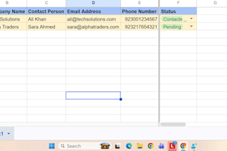 do data entry and spreadsheet organization