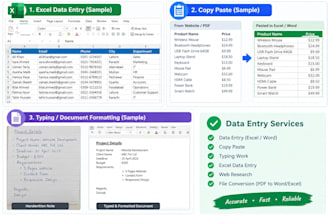 do data entry, typing, copy paste and excel work