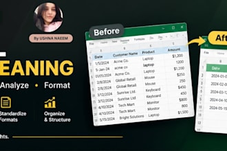 clean, organize, and analyze your excel or CSV data