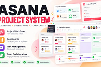 build asana project systems workflows dashboards forms rules and team operations
