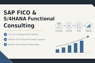 sap fico s4hana b one functional consultant, business process design and support