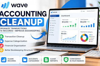 provide wave accounting cleanup and financial organization
