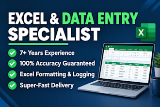 do professional data entry, excel data typing, and copy paste work