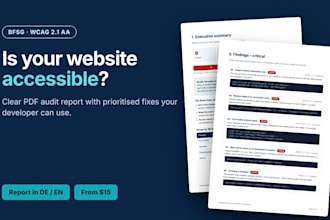 audit your website for bfsg and wcag accessibility with a PDF report