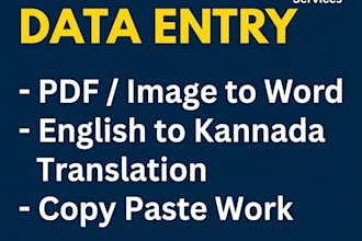 do professional kannada typing and data entry
