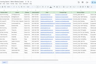 do accurate data entry, web research, and copy paste tasks