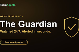 secure and monitor your website against hackers malware and downtime