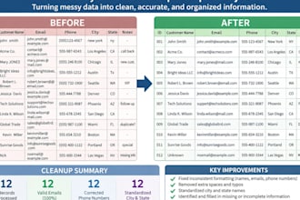 provide accurate data entry and spreadsheet cleanup