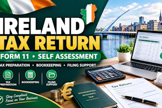 fix ireland tax return issues, organize records and prepare form 11