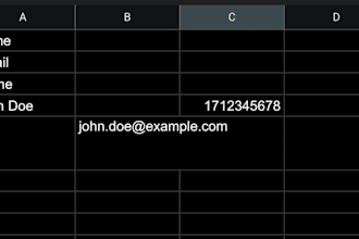 be your professional data entry specialist