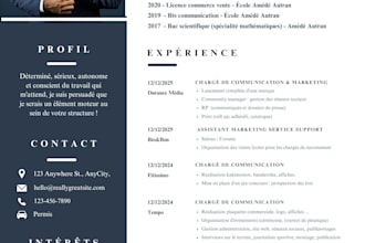 create a professional CV or resume in french or english