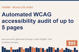 run an automated wcag accessibility audit of up to 5 pages on your site