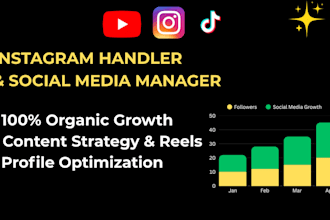 be your instagram social media manager and dm handler