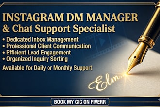 be your instagram social media manager and dm handler