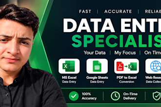 be your professional remote data entry specialist
