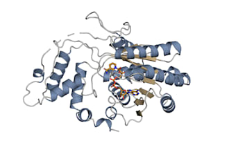 create protein structure and ligand figures in pymol