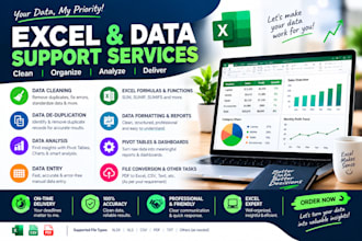 do accurate data entry, data cleaning, and excel data formatting
