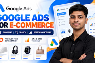setup and optimize google shopping and performance max ads for ecommerce