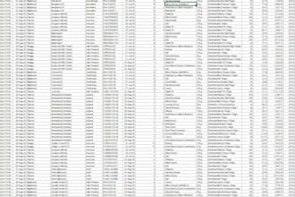 expertly do your excel tasks like data entry, cleaning, formula, lookup, match