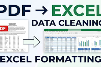 convert PDF to excel, clean data and format spreadsheets