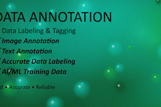 do ai data annotation, data labeling and data entry