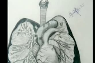 draw custom biology ,medical and educational posters