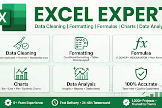 do fast data entry, excel work, pdf to word and typing work