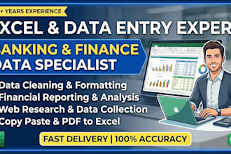 do expert excel data entry, data cleaning, and financial analysis