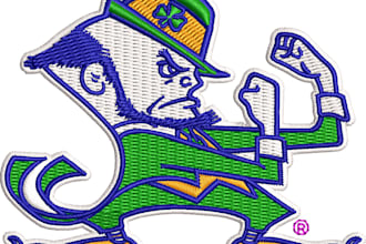 logo embroidery digitizing, 3d puff, convert to dst, pes, jef in 1day