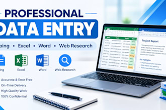 do professional data entry
