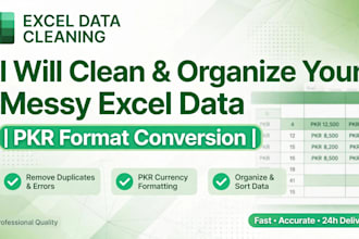 clean and organize messy exceldata and convert to pkr format