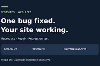 fix one website or web app bug