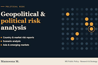 write a geopolitical and political risk analysis report