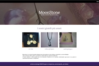 conceptualization, creation, and publication of a website