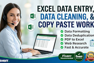 do excel data entry