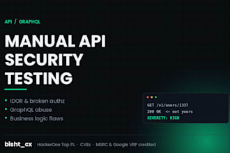 perform manual API and graphql security testing with a full report