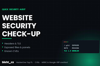 do a quick security audit of your website and report the top issues
